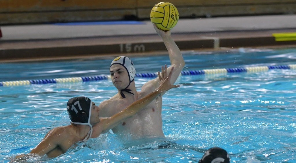 Water polo during a game
